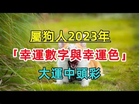 屬狗 2023